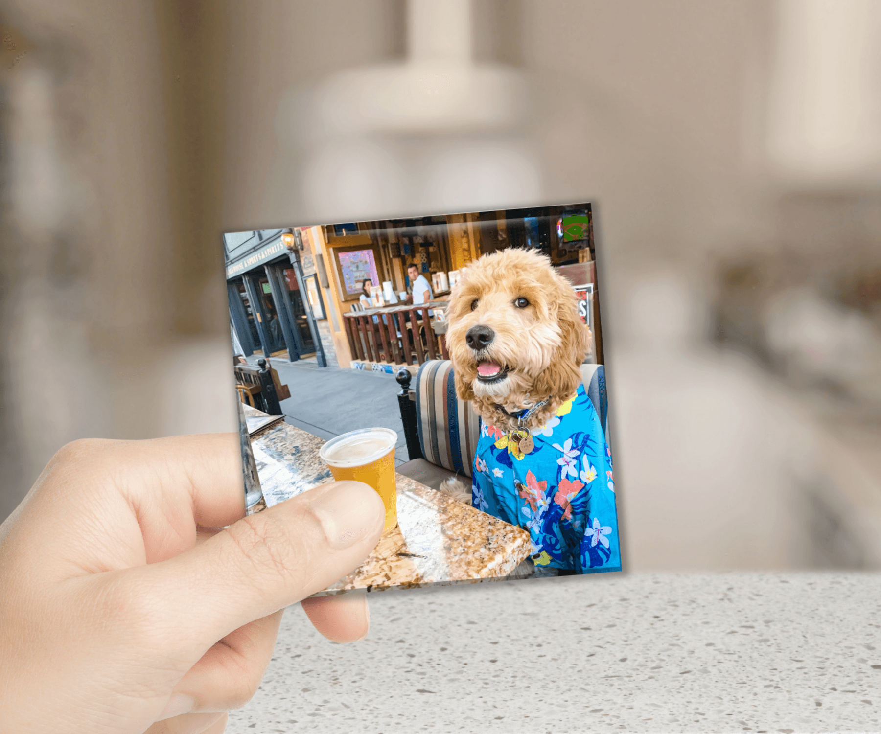 Custom Magnolia Magnets photo magnet: Pet moments
